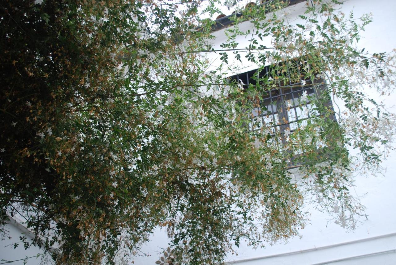 Backpacker Al-Katre Bed & Breakfast Córdoba Exterior foto