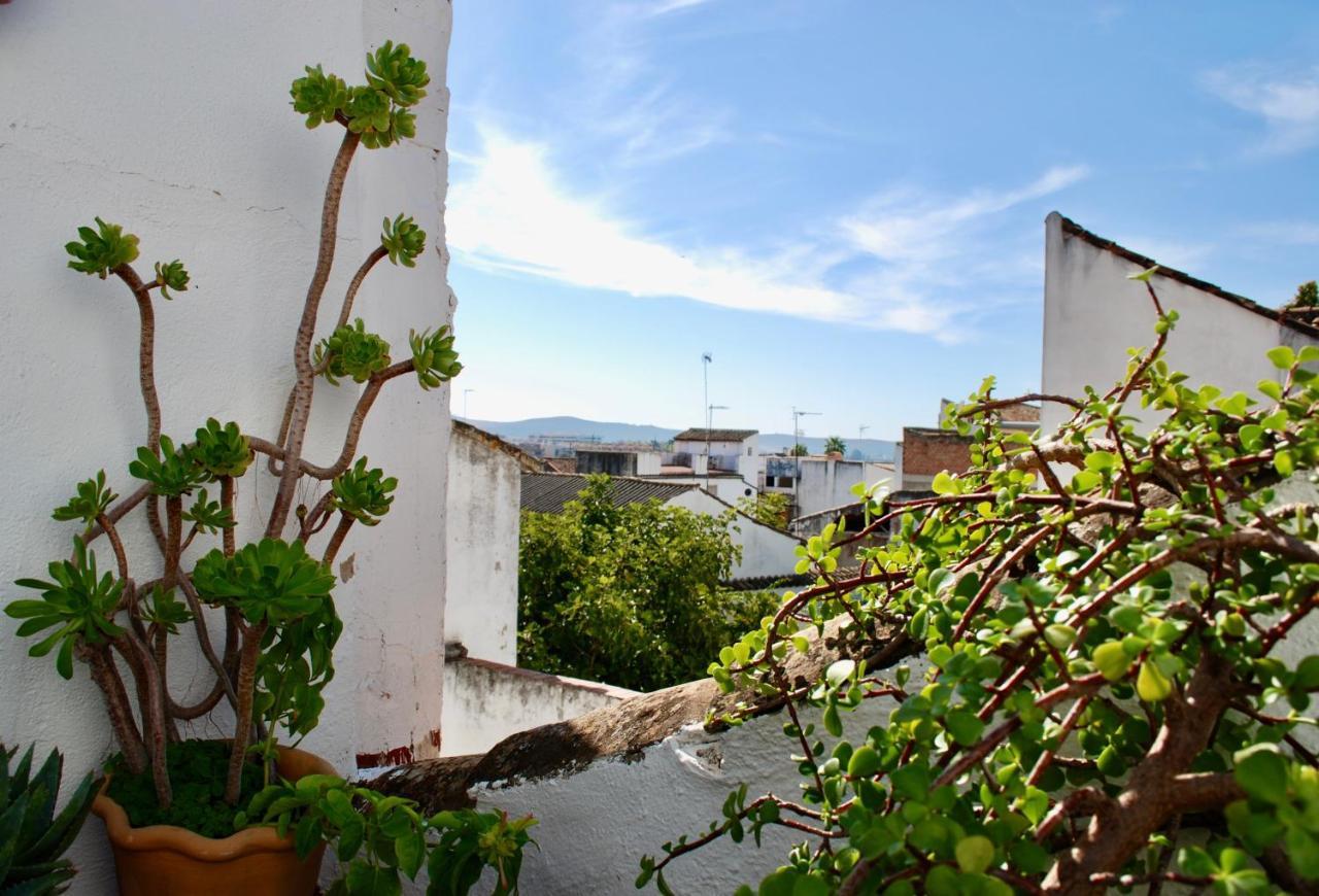 Backpacker Al-Katre Bed & Breakfast Córdoba Exterior foto